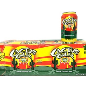 12 pack Cactus Cooler